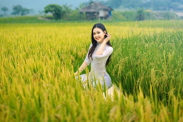 Á khôi Sinh viên Việt Nam khoe nét xuân thì bên đồng lúa