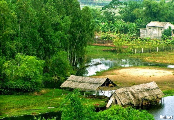 Buổi trưa miền sơn cước trong vườn thơ của Nguyễn Xuân Thâm