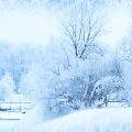 Top 50 hình ảnh phong cảnh mùa đông làm hình nền đẹp | Photographer