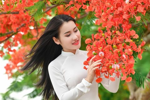 Cô gái xinh đẹp thả hồn trên con đường hoa phượng đỏ Hải Phòng | Báo Dân trí
