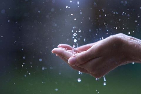 Tổng Hợp [155+] bài thơ về mưa hay nhất thổn thức lòng bạn đọc