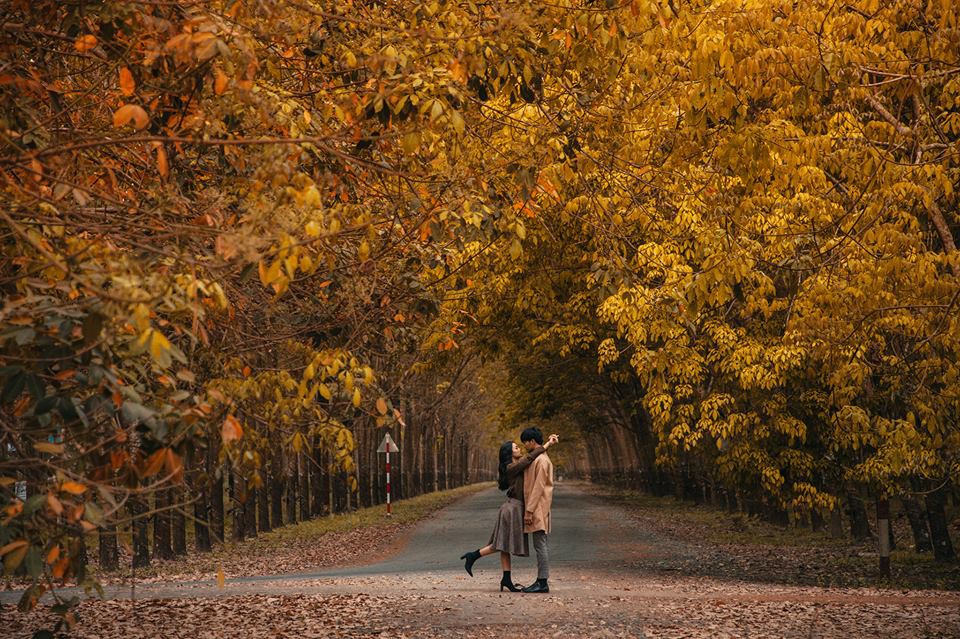TOP hình ảnh mùa thu đẹp lãng mạn - lâng lâng cảm xúc giao mùa