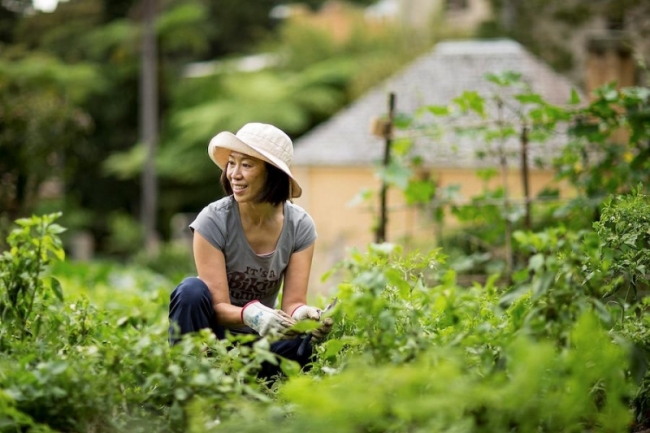 Làm vườn hàng ngày có thể giúp bạn mạnh khỏe - VnExpress Sức khỏe