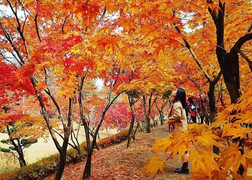Bí kíp tạo dáng chụp ảnh đẹp trong mùa thu - VnExpress Du lịch
