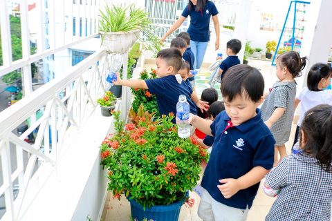 Chăm sóc cây xanh giúp trể hạnh phúc | Trường Mầm Non Kindy City
