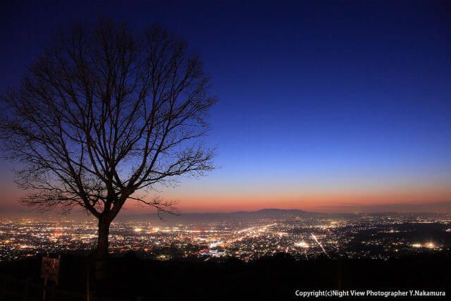 Nara về đêm từ đỉnh núi Wakakusa – Một trong ba cảnh đêm đẹp nhất nước Nhật｜Kênh du lịch LocoBee
